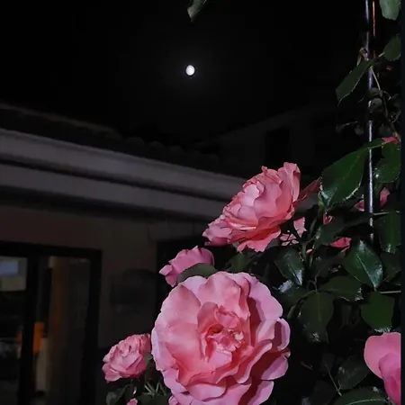 La Taverna Dell'oasi Nyaraló Manoppello