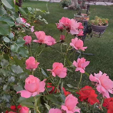 بيت للعطل La Taverna Dell'oasi Manoppello
