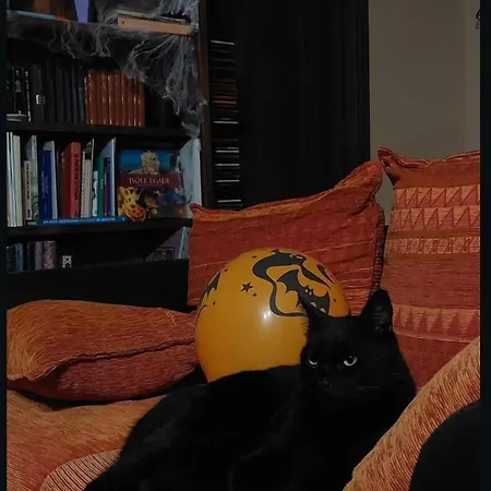 La Taverna Dell'oasi