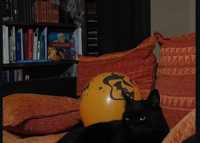 La Taverna Dell'oasi