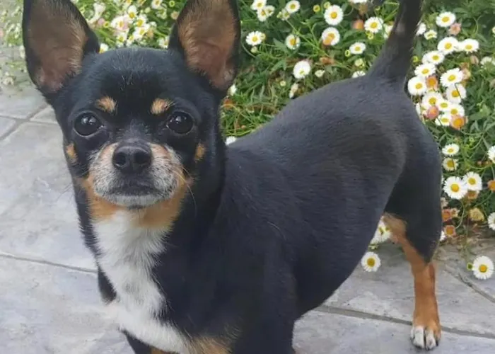 La Taverna Dell'oasi *